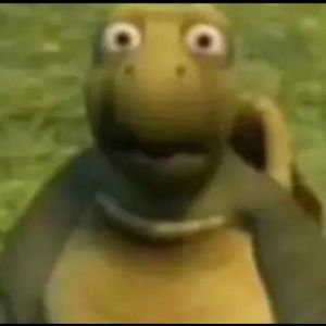 Meet your Posher, Joe